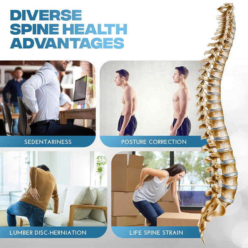Lumbar Stretching & Spine Correction Device